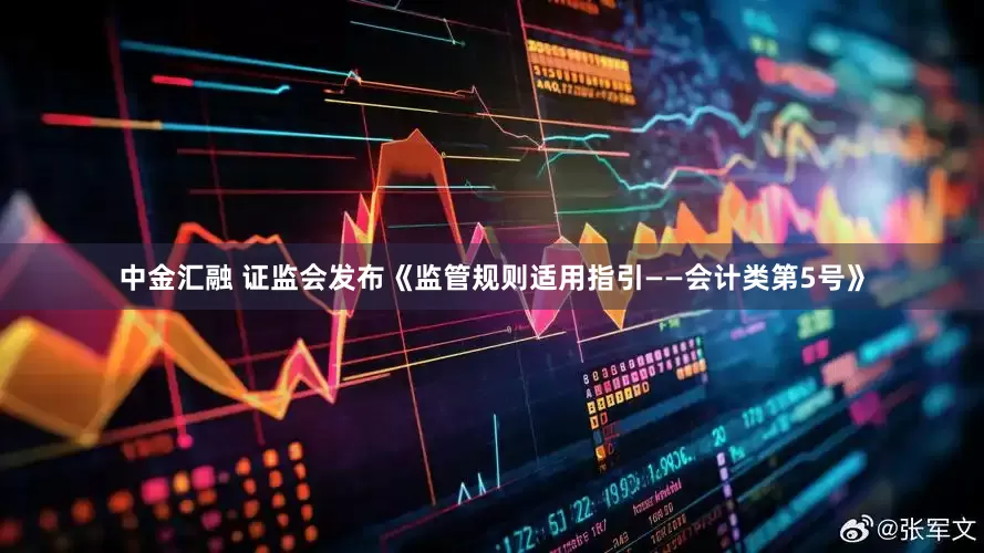 中金汇融 证监会发布《监管规则适用指引——会计类第5号》